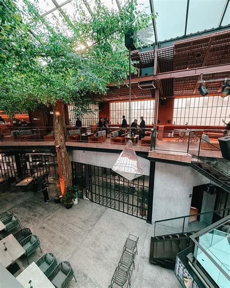 alexa99