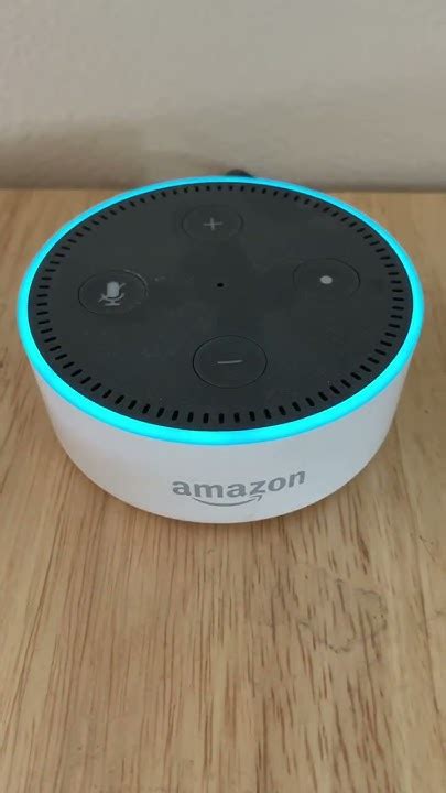 alexa99