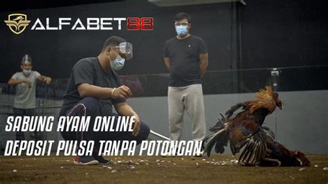 alfabet88