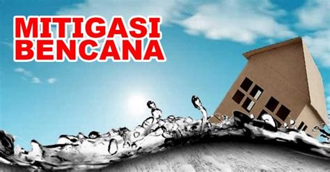 ambyargacor