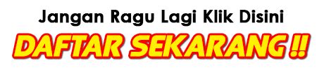 angka805