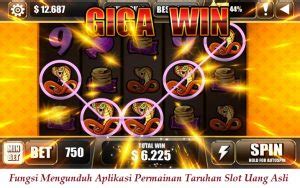 angka805