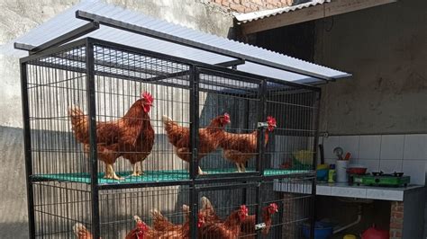 ayamtoto