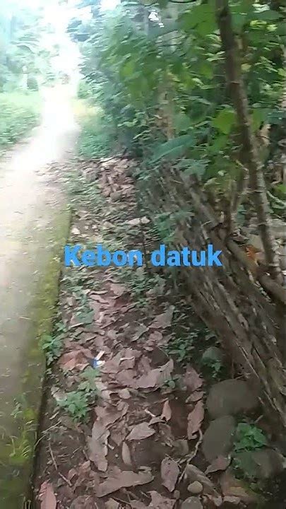 betsatu