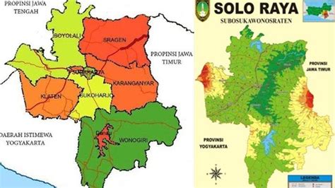 boscuan303