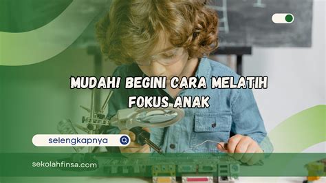 fokus11
