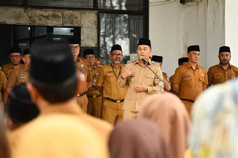 halaman
