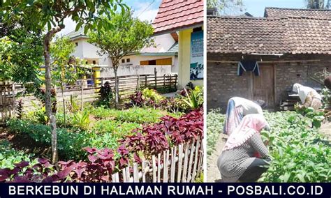 halaman