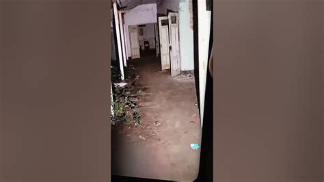 indo118