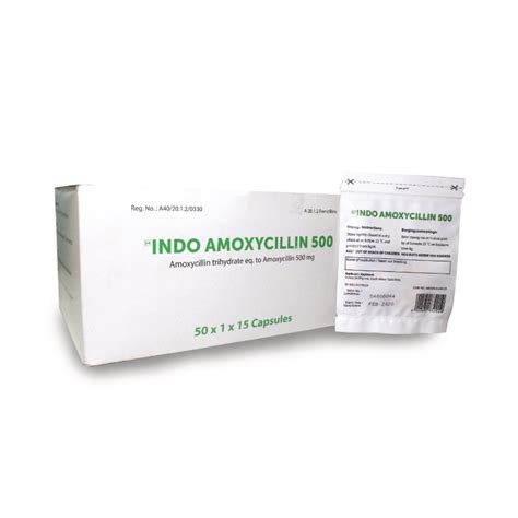 indo500