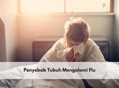 indojp