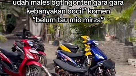 joswd