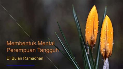 juara1