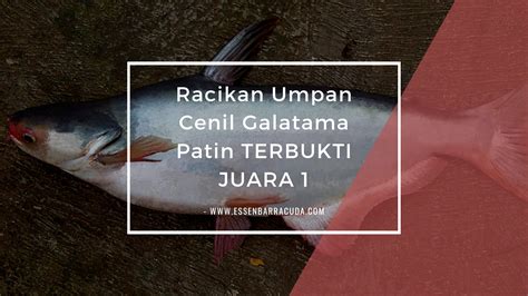 juara1