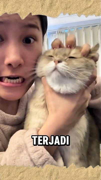 kedai168