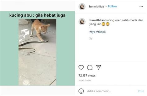 kedai168