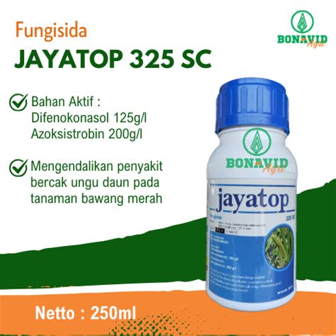 kembar66