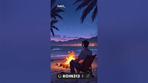 koin313