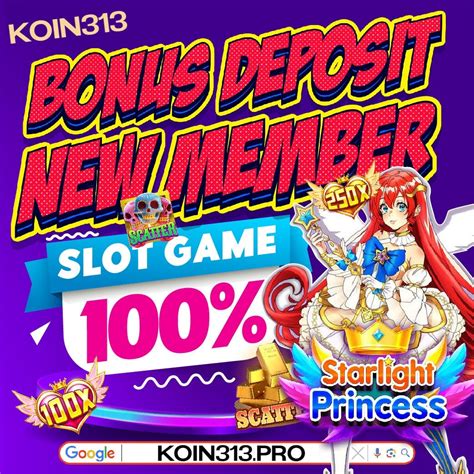 koin313