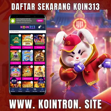 koin313
