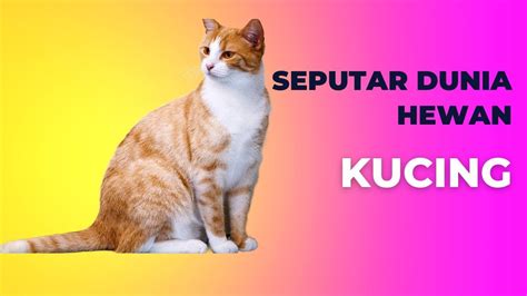 kudawin