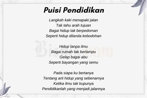 layar805