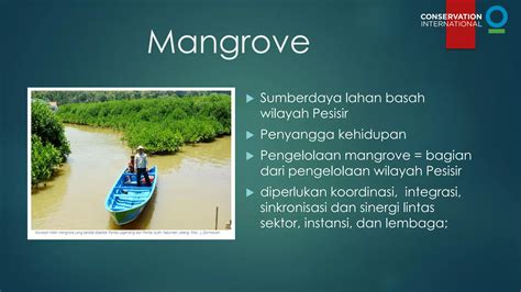matauangslot