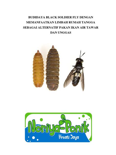 mawar108