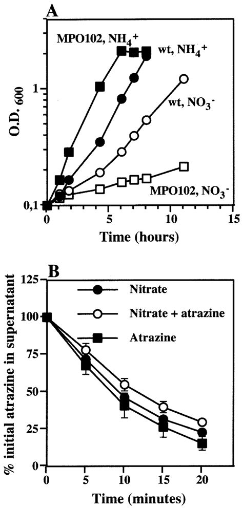 mpo102