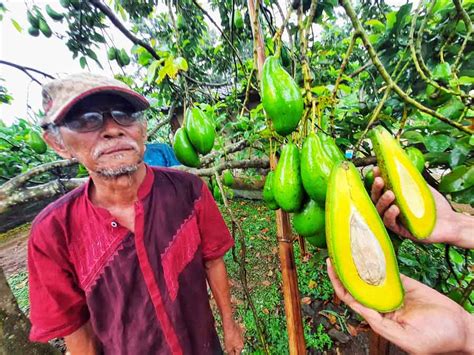 nikmati