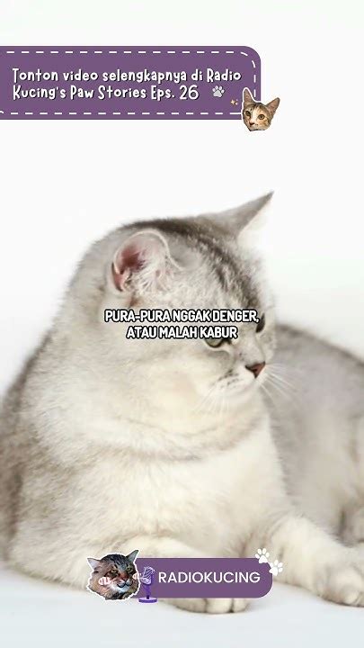 pulsaslot