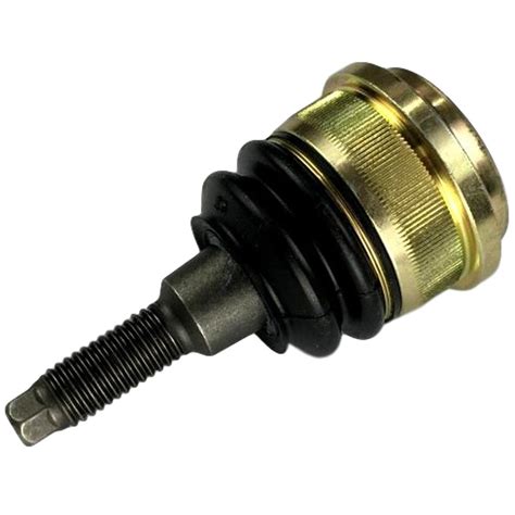 sg1131