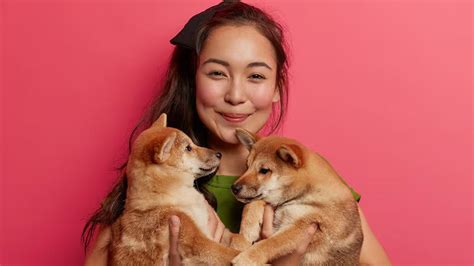 shibajp