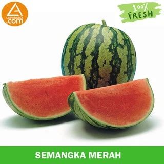 sihoki