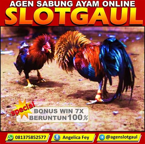 slotgaul