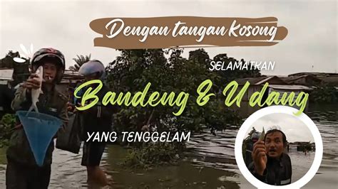 tangandewa
