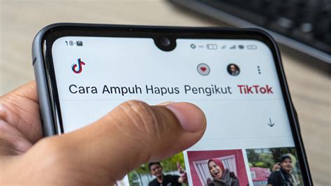 temu4d