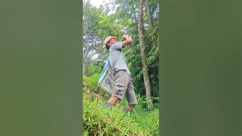 warga62