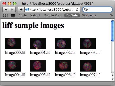 webtest